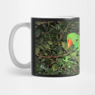 Hiding Out - Male Eclectus Parrot #2 Mug